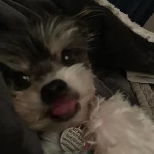 Meet your Posher, Anita